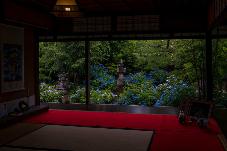 霊源院(建仁寺塔頭)_e0051888_05405221.jpg