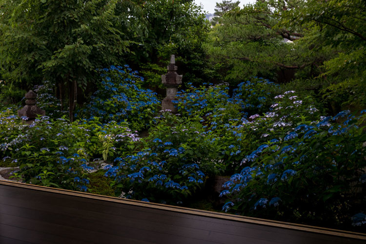 霊源院(建仁寺塔頭)_e0051888_05410138.jpg
