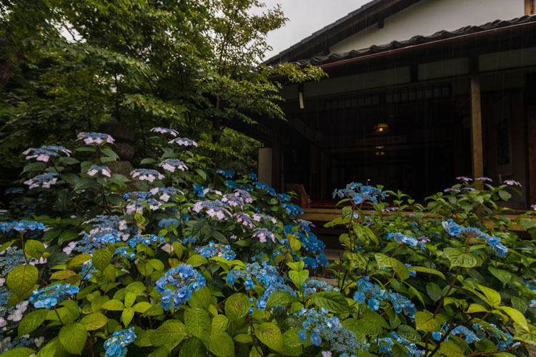 霊源院(建仁寺塔頭)_e0051888_05420065.jpg