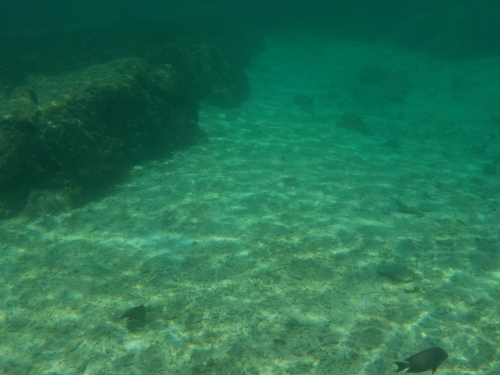 d0074596_00030728.jpg