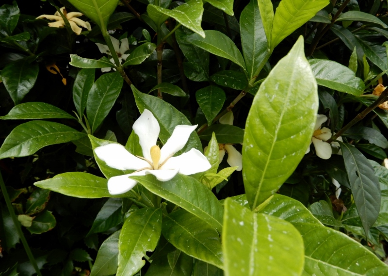 e0025300_22555062.jpg