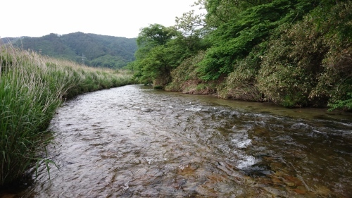 b0172805_07274746.jpg