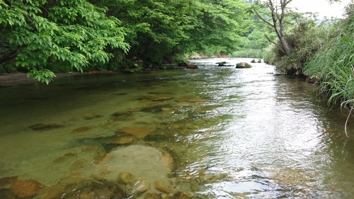 b0172805_07291935.jpg