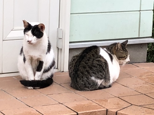 お引越し_d0184114_00270148.jpeg