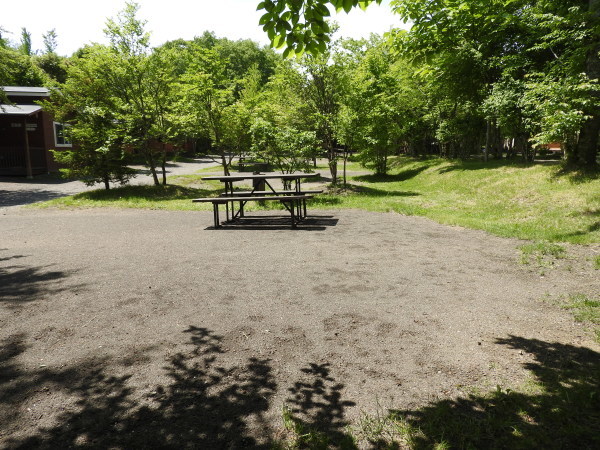 b0174425_12305406.jpg