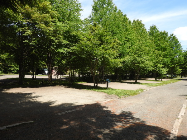 b0174425_12312394.jpg