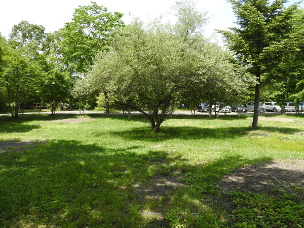 b0174425_12340741.jpg