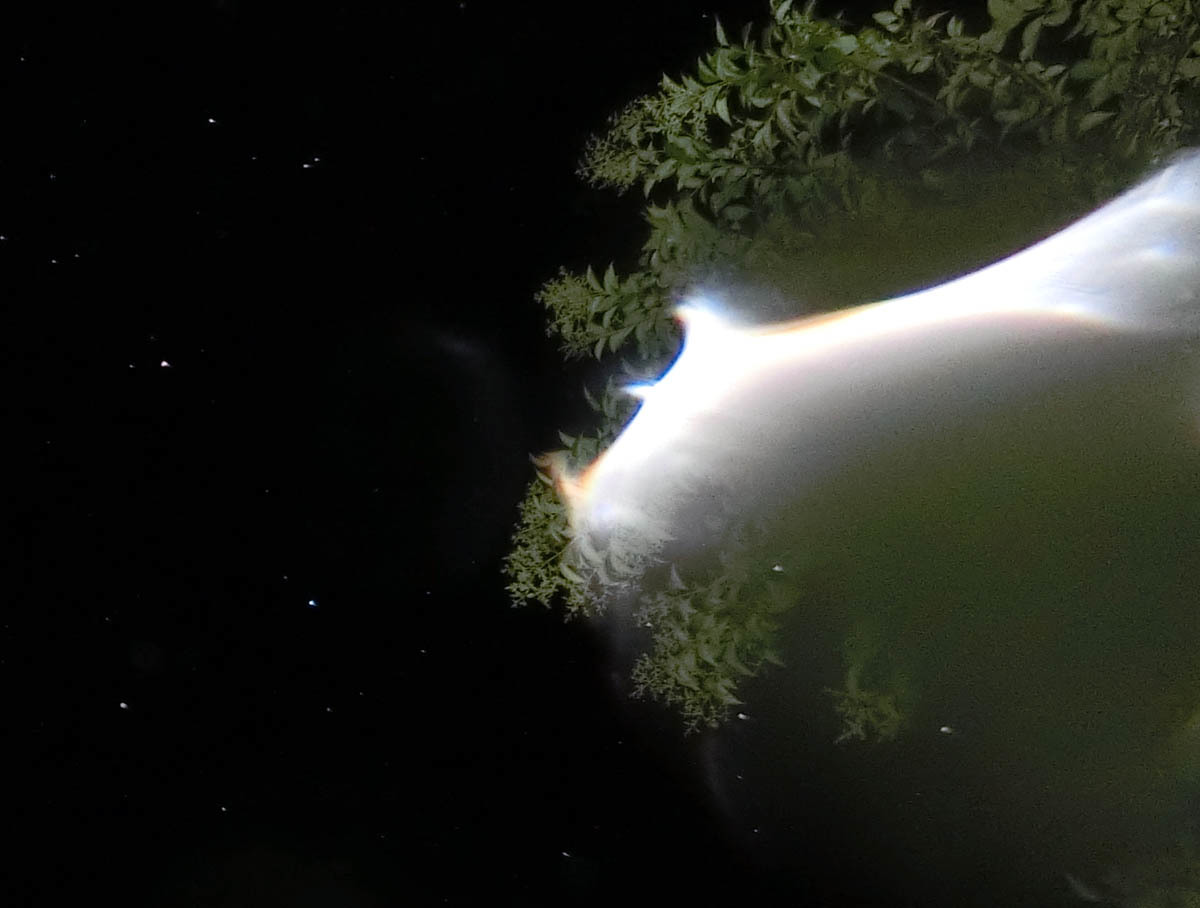 c0331825_13132757.jpg