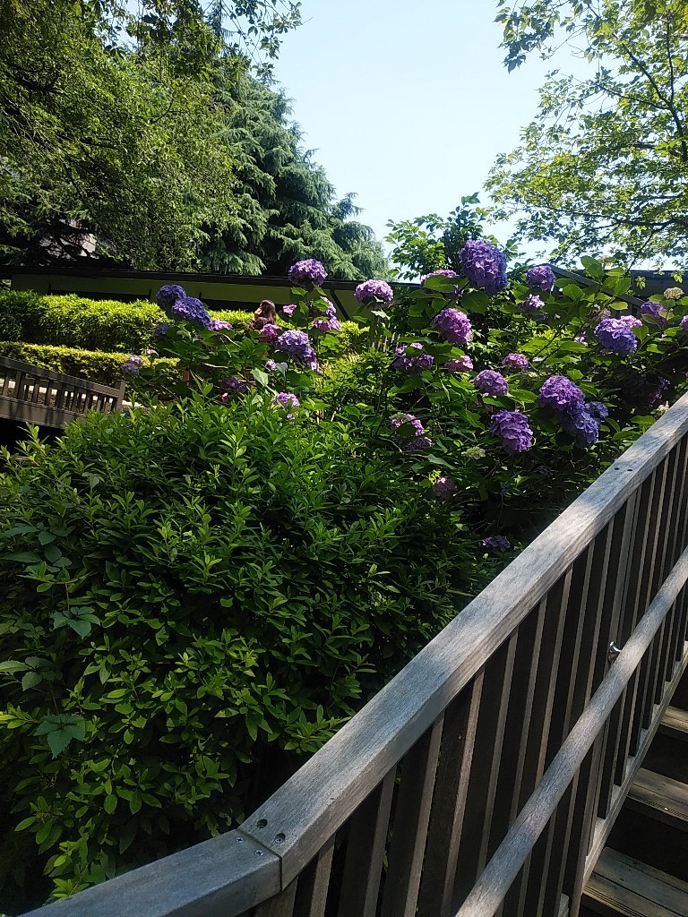 c0173826_07375187.jpg
