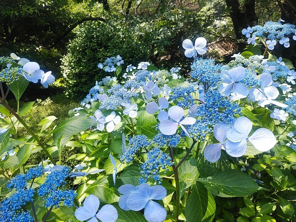 c0173826_07375234.jpg