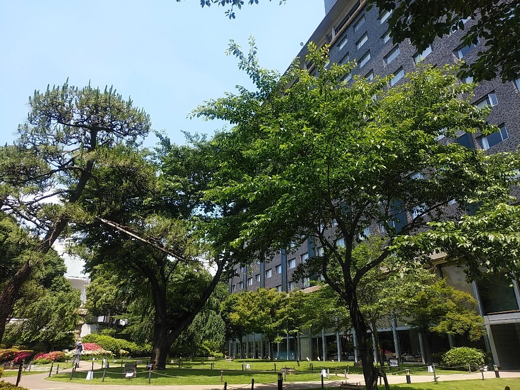 c0173826_07375242.jpg