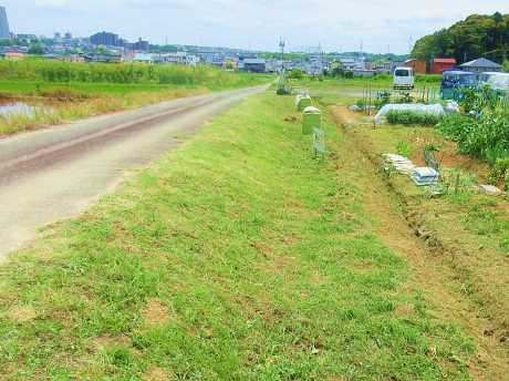 d0247727_17221209.png