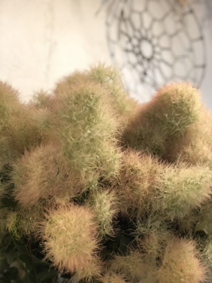 c0102228_17442561.jpeg