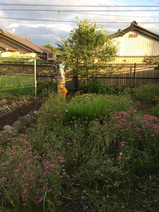 ジューンベリーと夏季休暇のお知らせ_e0155231_09572489.jpeg