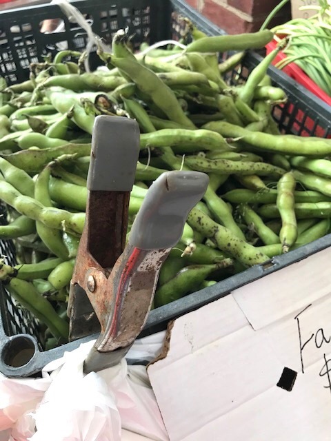 そら豆のパルメザン風味(美肌にも!)_d0269832_21133029.jpeg