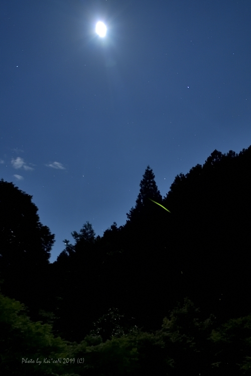 a0212036_06441393.jpg