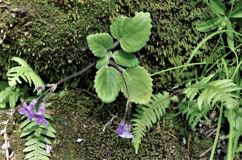 d0347140_08361240.jpg