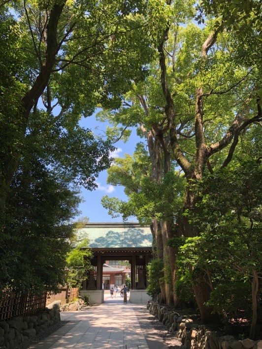寒川神社へ「大祓い」_c0152341_08113455.jpg