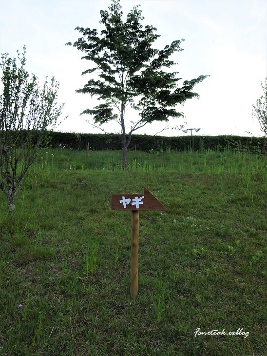 d0356844_12504577.jpg