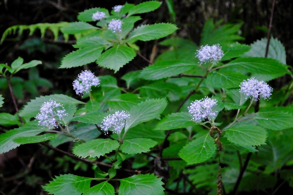 b0236251_17041163.jpg