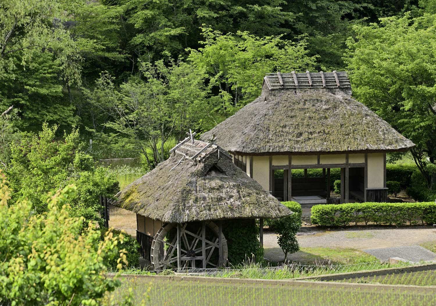 八塔寺ふるさと村 1 岡山県 Ty44 四季の写真 八塔寺ふるさと村 1 岡山県 Ty44 四季の写真