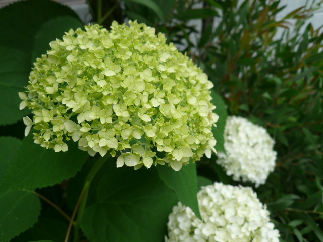 c0043055_14195350.jpg