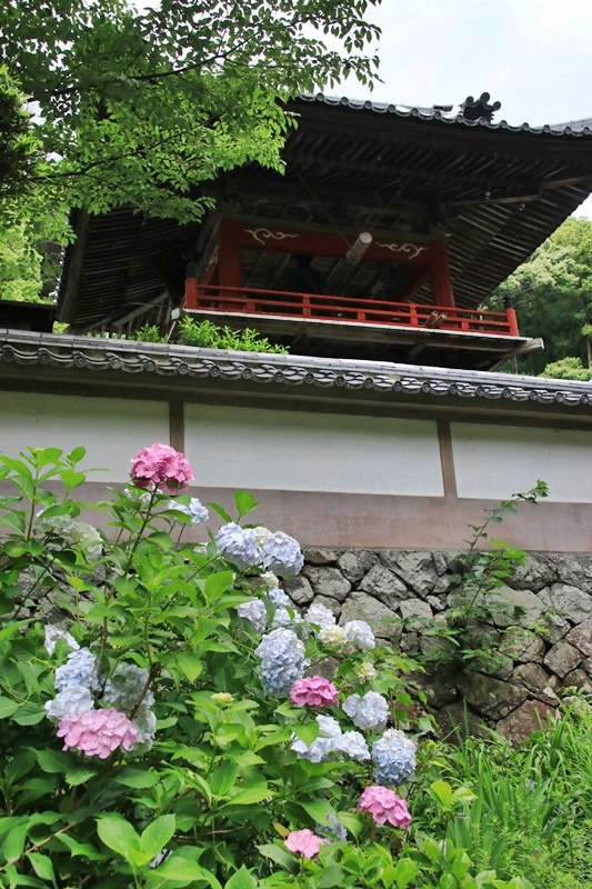 a0167759_1301438.jpg
