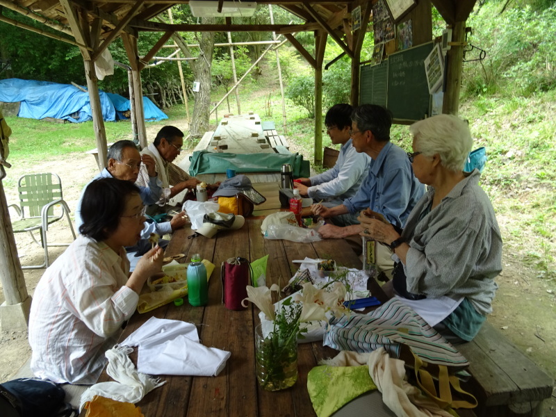 植物＆昆虫観察会・・・みさき里山クラブ＜フリー活動日＞・・・孝子の森_c0108460_18381672.jpg