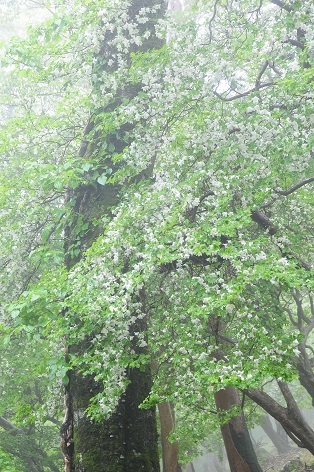 c0303868_11033965.jpg