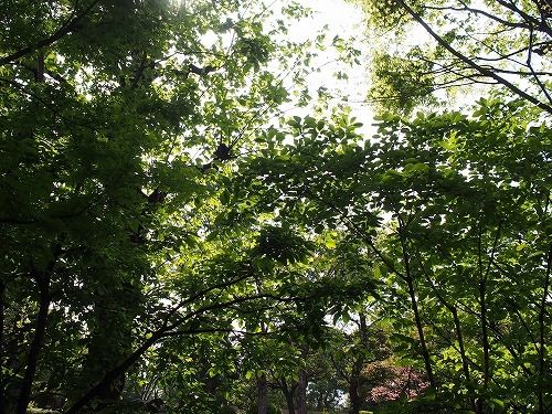 e0200073_22261550.jpg