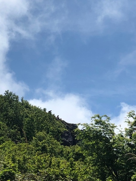 a0141678_08542265.jpeg