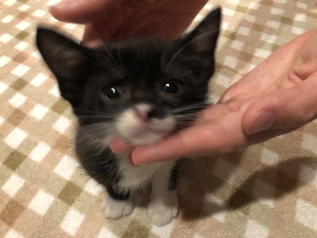 b0377882_17462265.jpeg