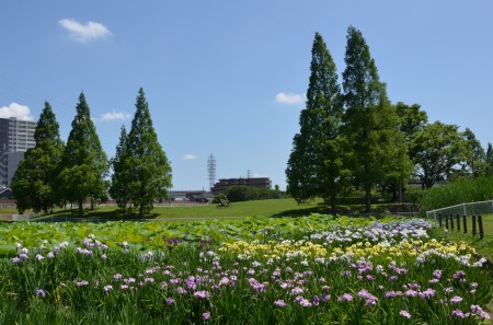 c0229483_0202840.jpg