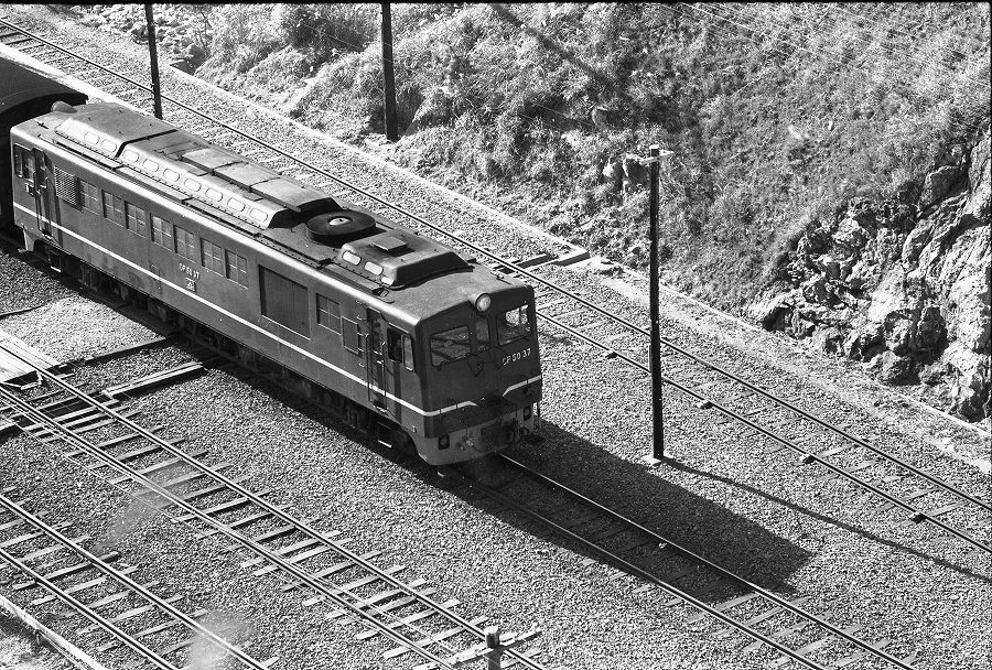 d0045383_13283222.jpg