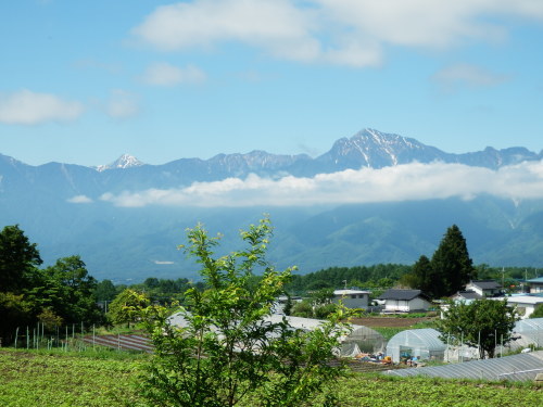 b0334084_21050767.jpg