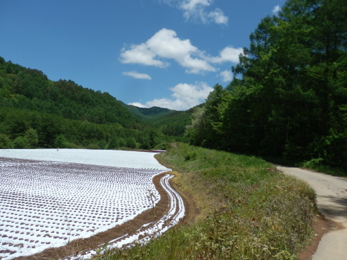 b0334084_21063786.jpg