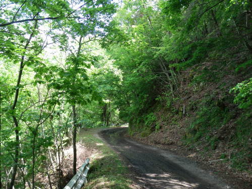 b0334084_21083215.jpg