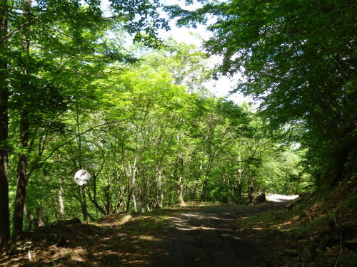 b0334084_21085074.jpg