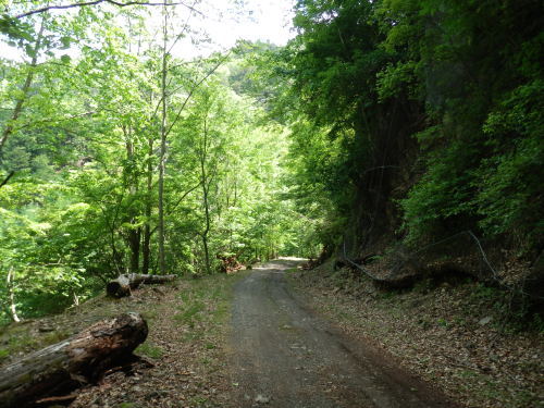 b0334084_21085874.jpg