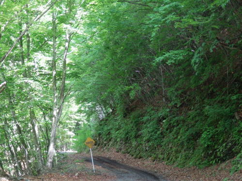 b0334084_21090630.jpg