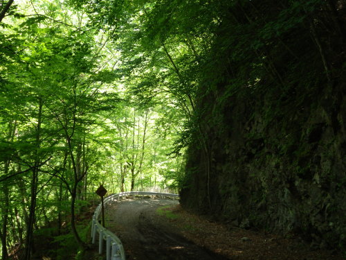 b0334084_21091538.jpg