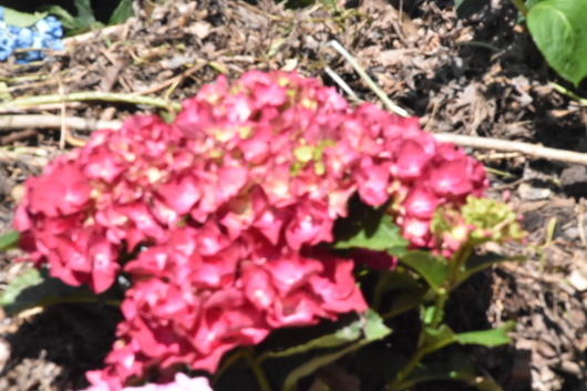 b0329186_08252968.jpg