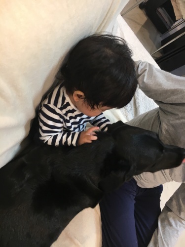 f0347891_02242094.jpeg