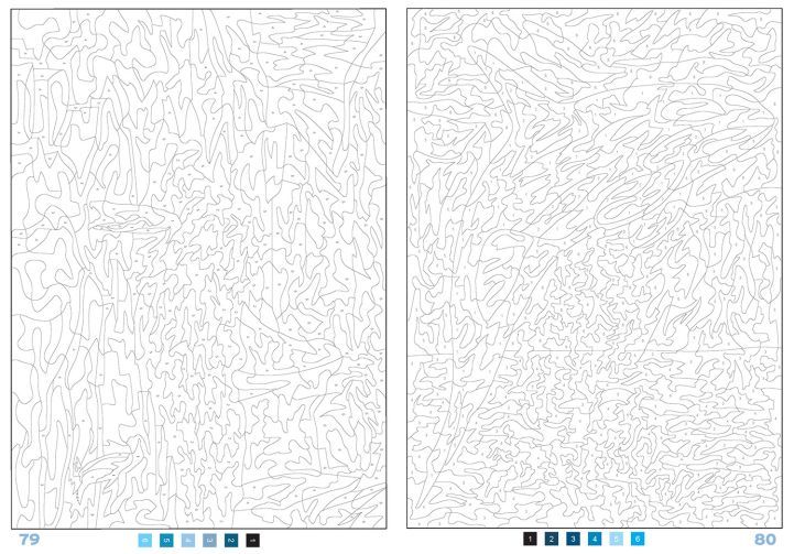 アートセラピーシリーズ　100パズルぬりえ ⑥美しい自然_c0313793_07003338.jpg