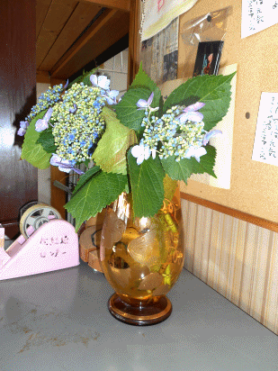 e0090293_10331192.gif