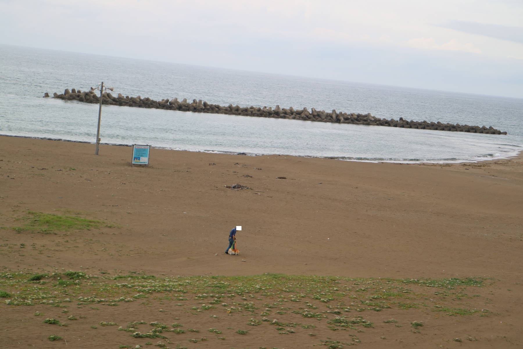 f0075595_21214106.jpg