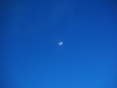 d0074596_20170588.jpg