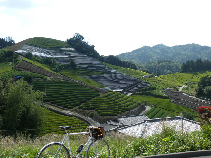 d0383596_21242761.jpg