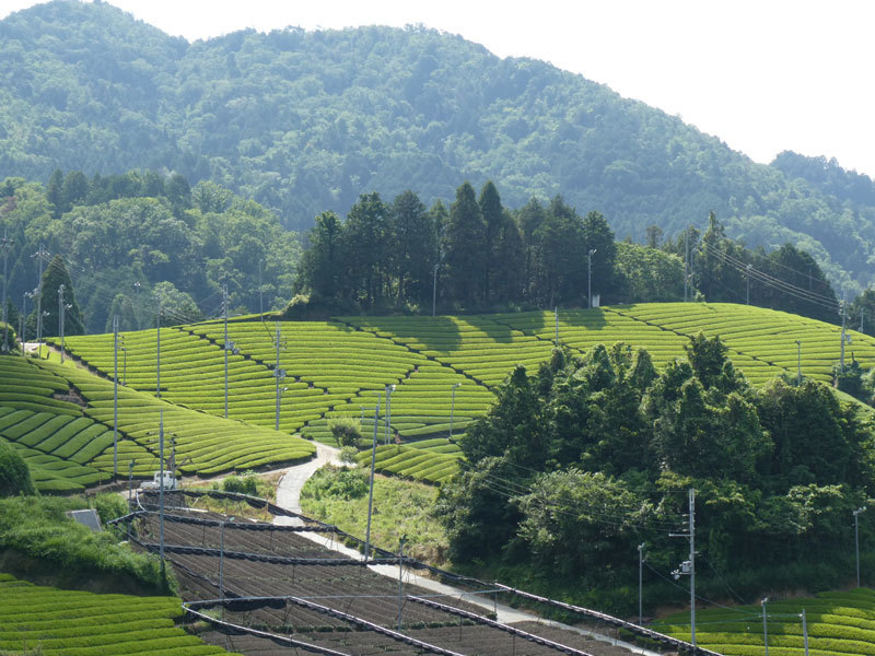 d0383596_21243229.jpg