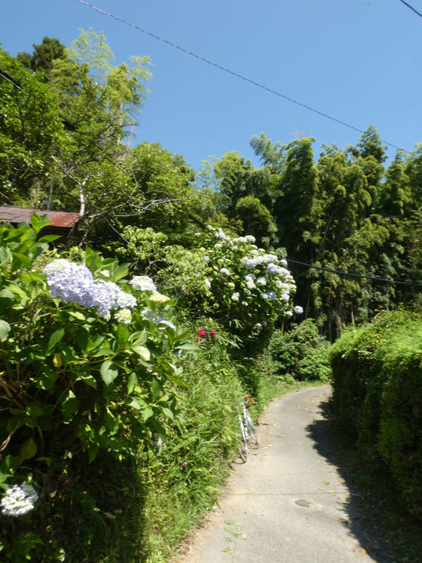 d0383596_21243318.jpg